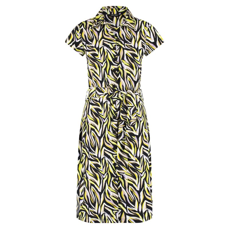 Dantionea Summer Zebra dress