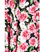 Dana Floral Swing Dress