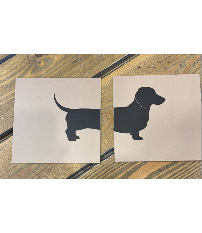 Forex Tegeltje Teckel achter