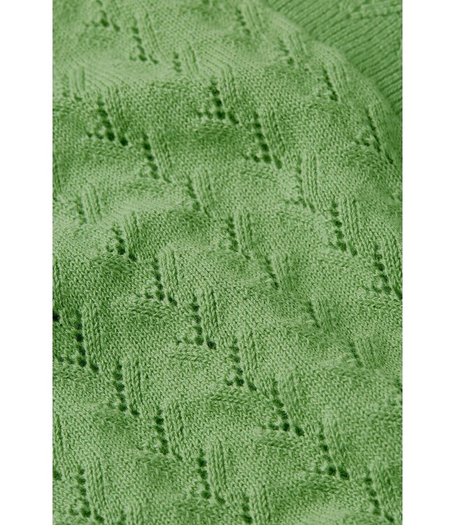 Emily Cardi Rocky Ajour