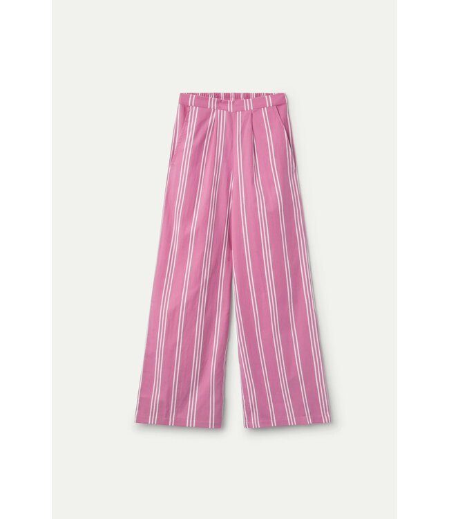 Streep Broek Roze