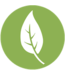 Logo Tee Groen