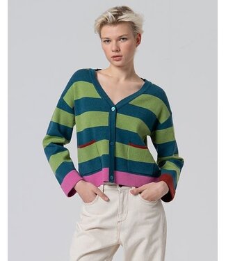 Surkana V Neck Cardigan green