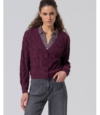 Surkana V Neck Cardigan with Fantasy Knit