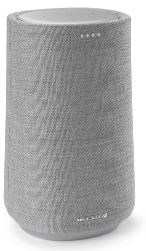 Harman Kardon Citation 100 Grijs