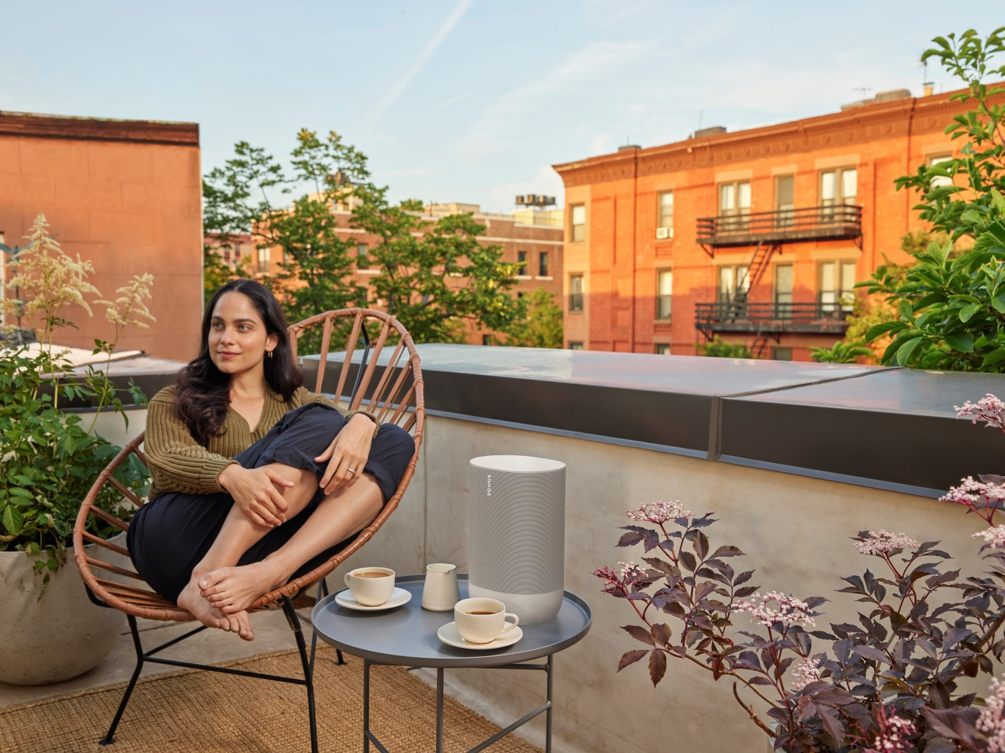 Sonos Move wit - Draadloze speaker