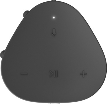 Sonos Roam Zwart - Draadloze speaker