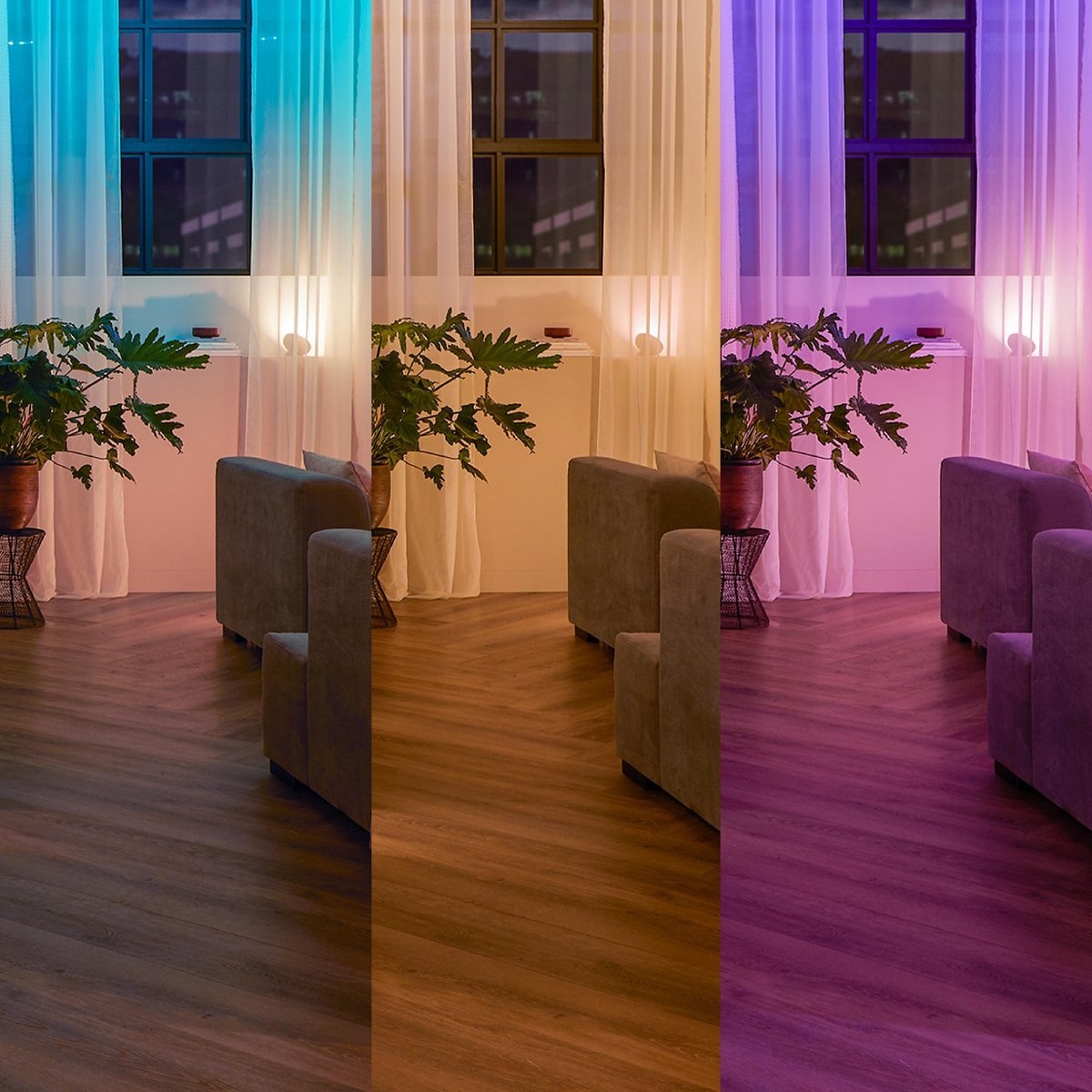 Philips Hue Wall Switch Wandschakelaarmodule