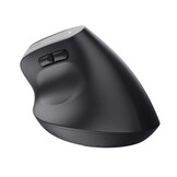 Trust Bayo+ Zwart - Muis