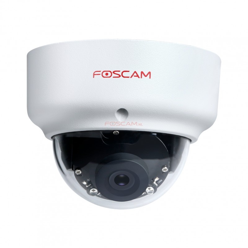 Foscam D2EP - Beveiligingscamera