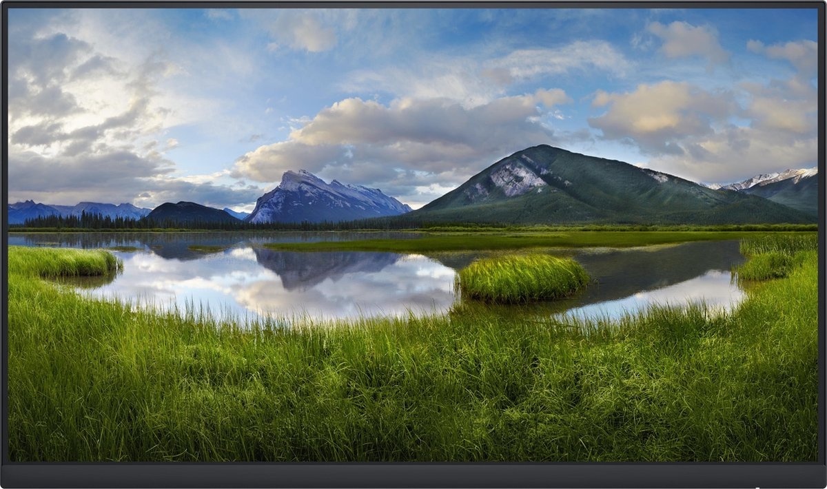 Dell P2422H (Zonder standaard) - Monitor