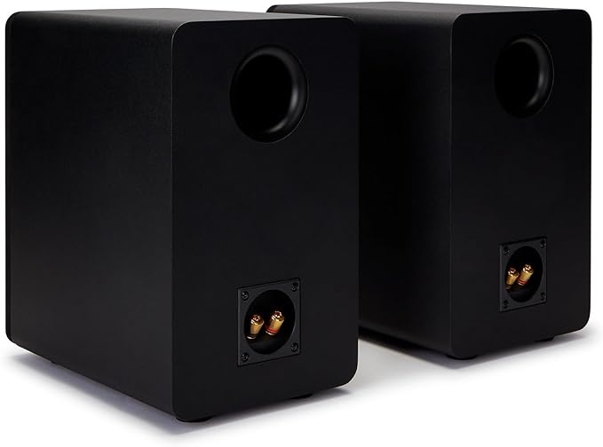 Aiwa SP-A100 - Hifi speaker