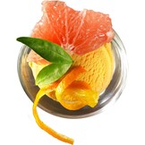 Krups Perfect Mix 9000 GVS241 - IJsmachine