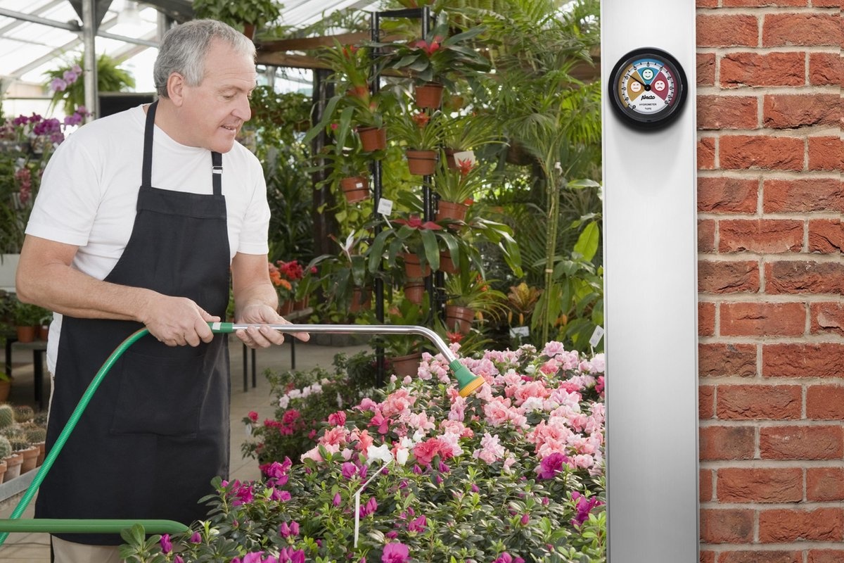 Alecto WS-05 - Hygrometer