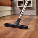 Polti Forzaspira C110 PLUS - Stofzuiger zonder zak