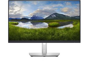 Dell P2422H - Monitor