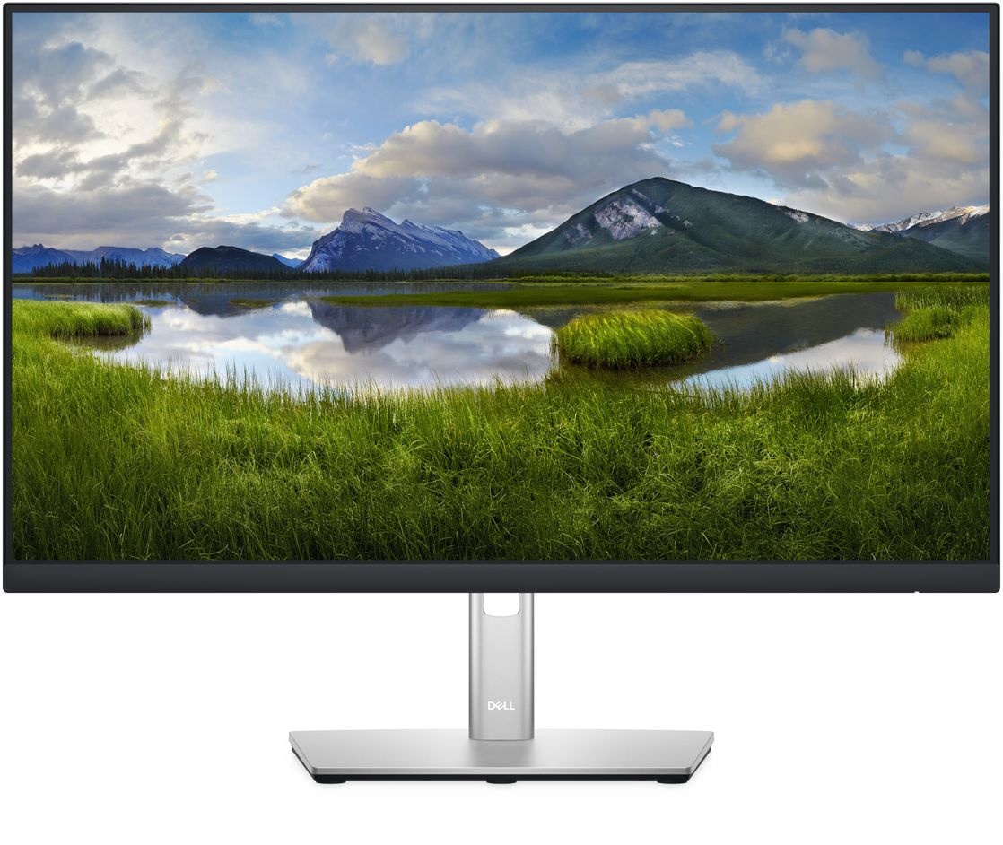 Dell P2422H - Monitor
