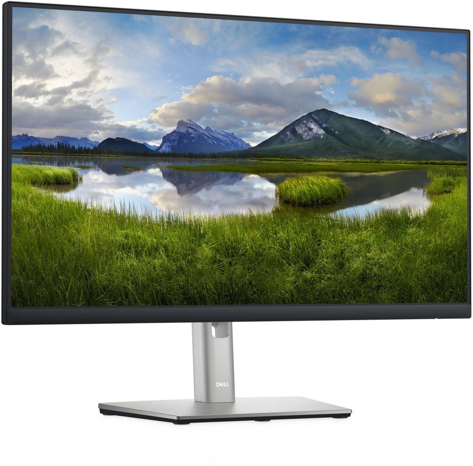 Dell P2422H - Monitor