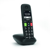 Gigaset E290R Duo - Dect telefoon