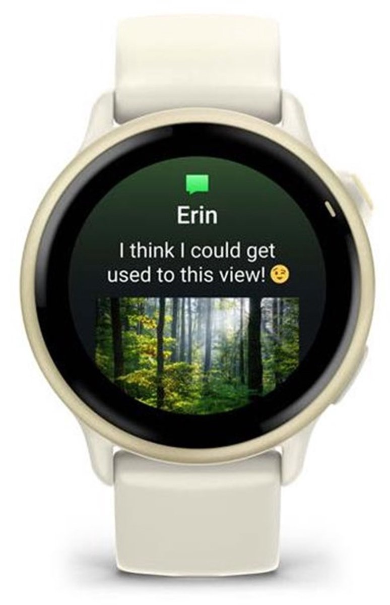 Garmin Vivoactive 6 Lunar Gold - Smartwatch