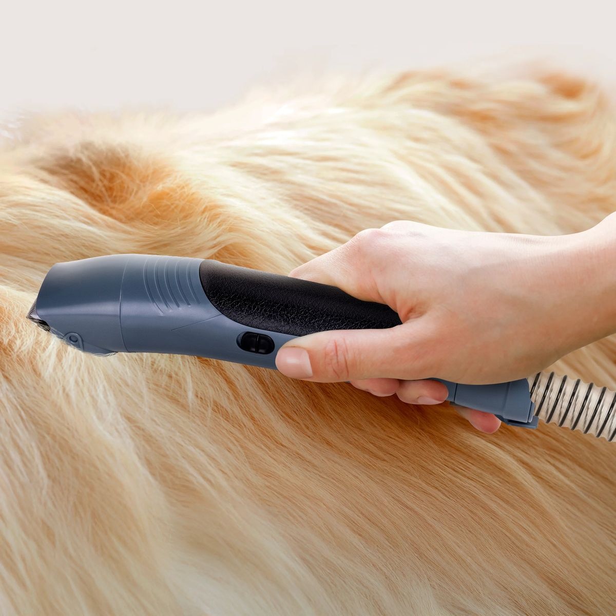 Ufesa PetBuddy Groom