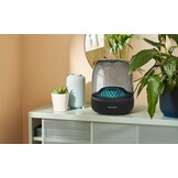 Harman Kardon Aura Studio 4 - Draadloze speaker