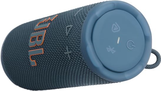 JBL Grip Blauw - Draadloze speaker