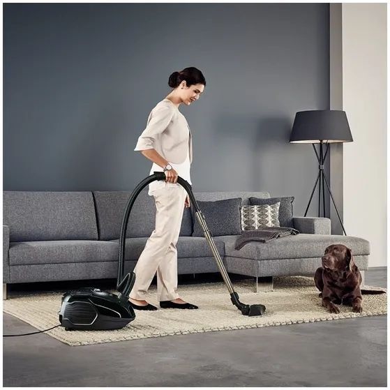 AEG VX6-2-ECO - Stofzuiger met zak