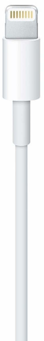 Apple Lightning to USB Cable 1 Meter
