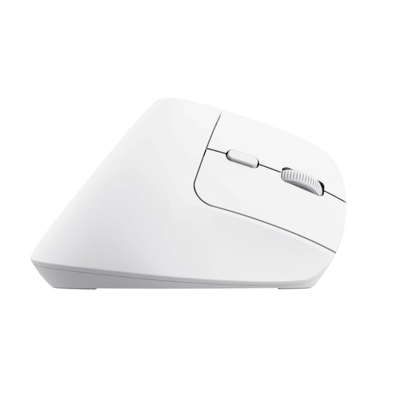 Trust Bayo+ Wit - Muis