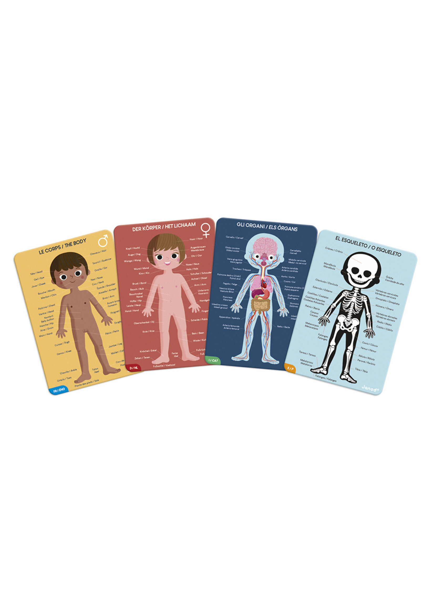 Janod Educatieve puzzel - het menselijk lichaam