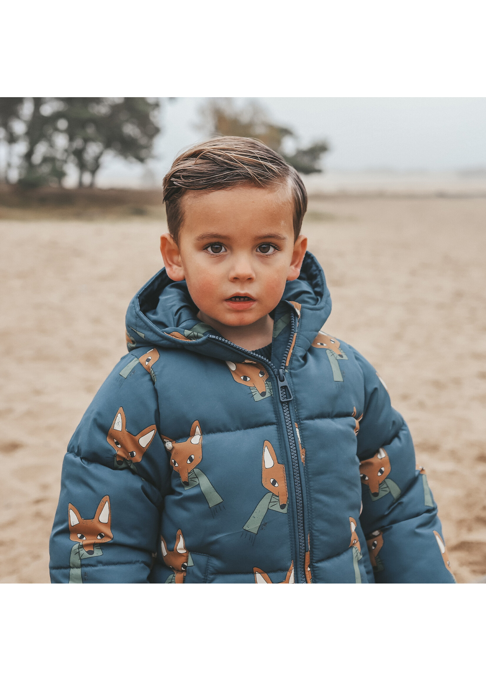 Your Wishes Fox / Puffer Coat