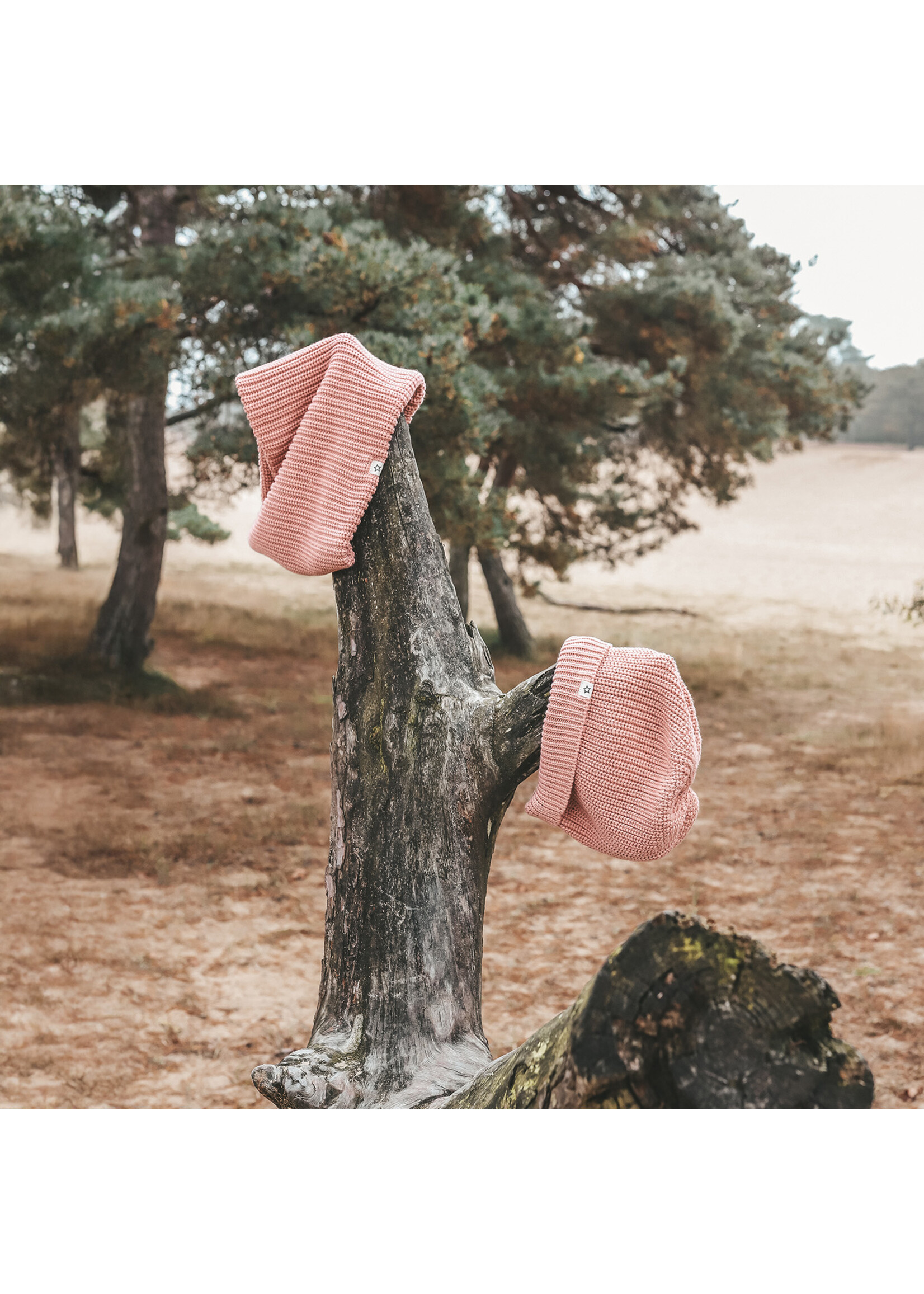 Your Wishes Knitted Scarf / Rose Dawn