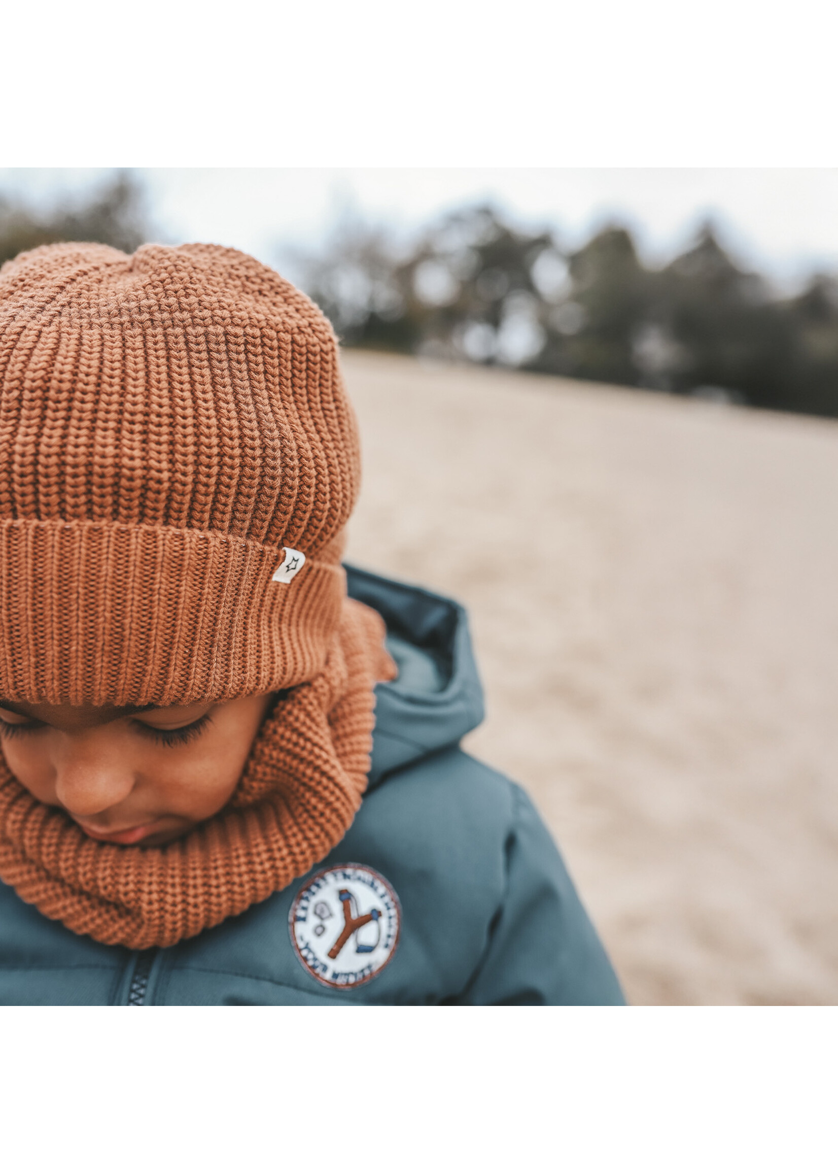 Your Wishes Knitted Hat / Chipmunk