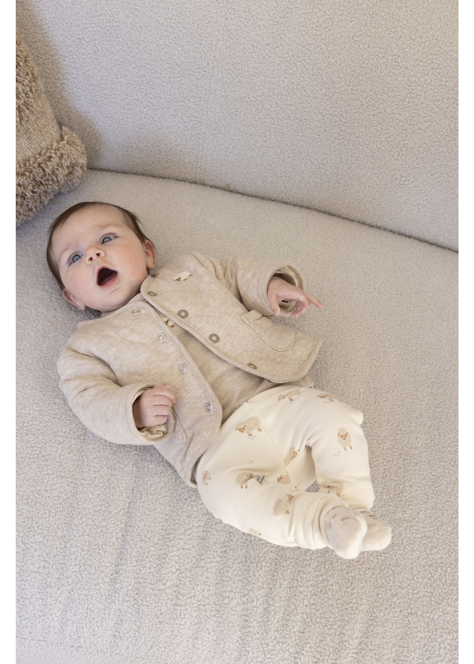 Feetje Omkeerbaar Jasje - Sleepy Sheepy Taupe Melange