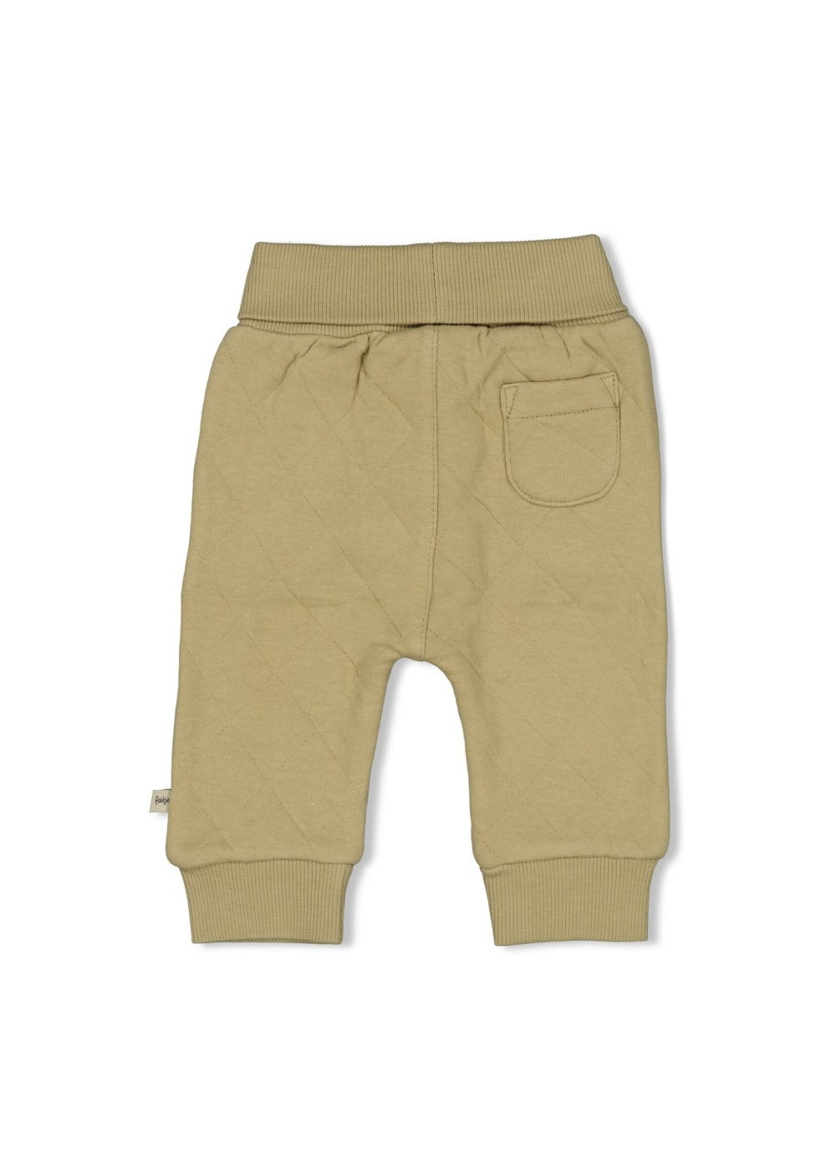 Feetje Broek - Rawrsome - Groen