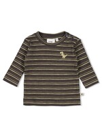 Feetje Longsleeve rib met streep - Rawrsome - Antraciet Melange