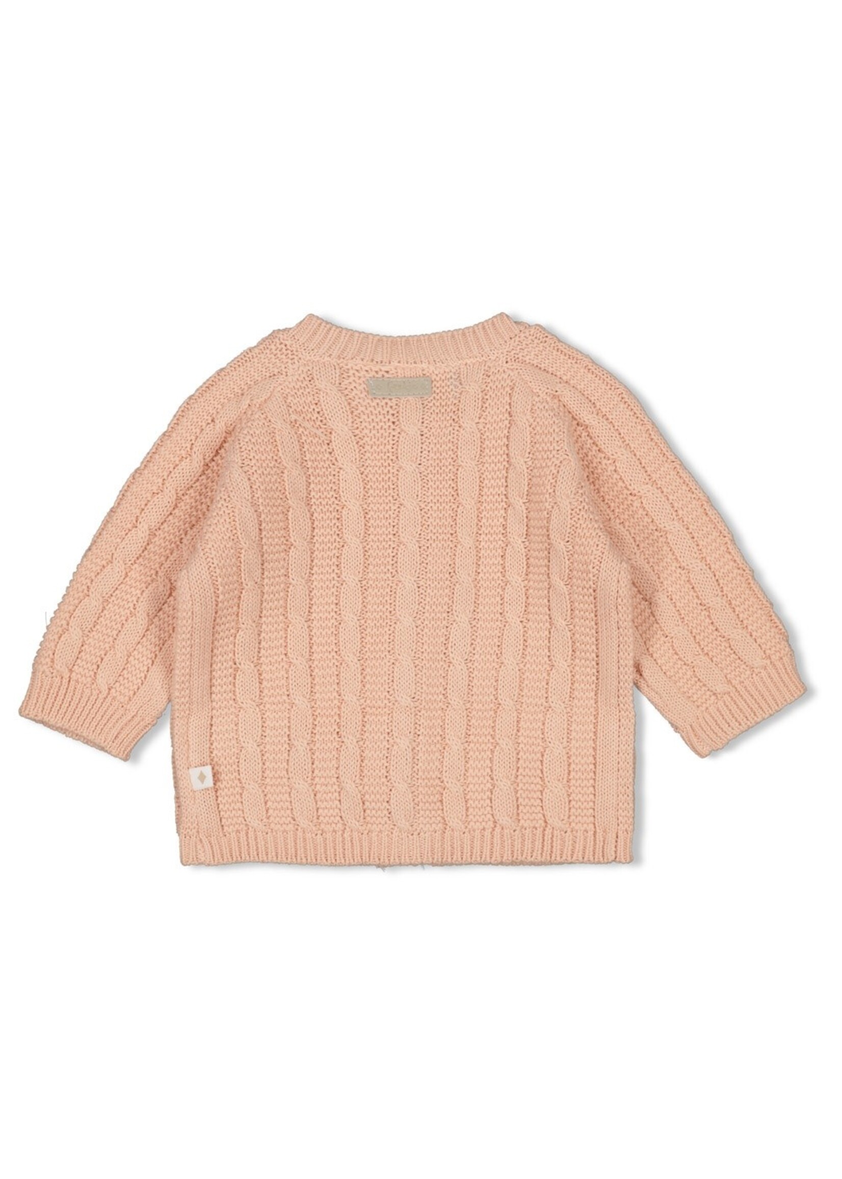 Feetje Vestje Gebreid - The Knits - Roze