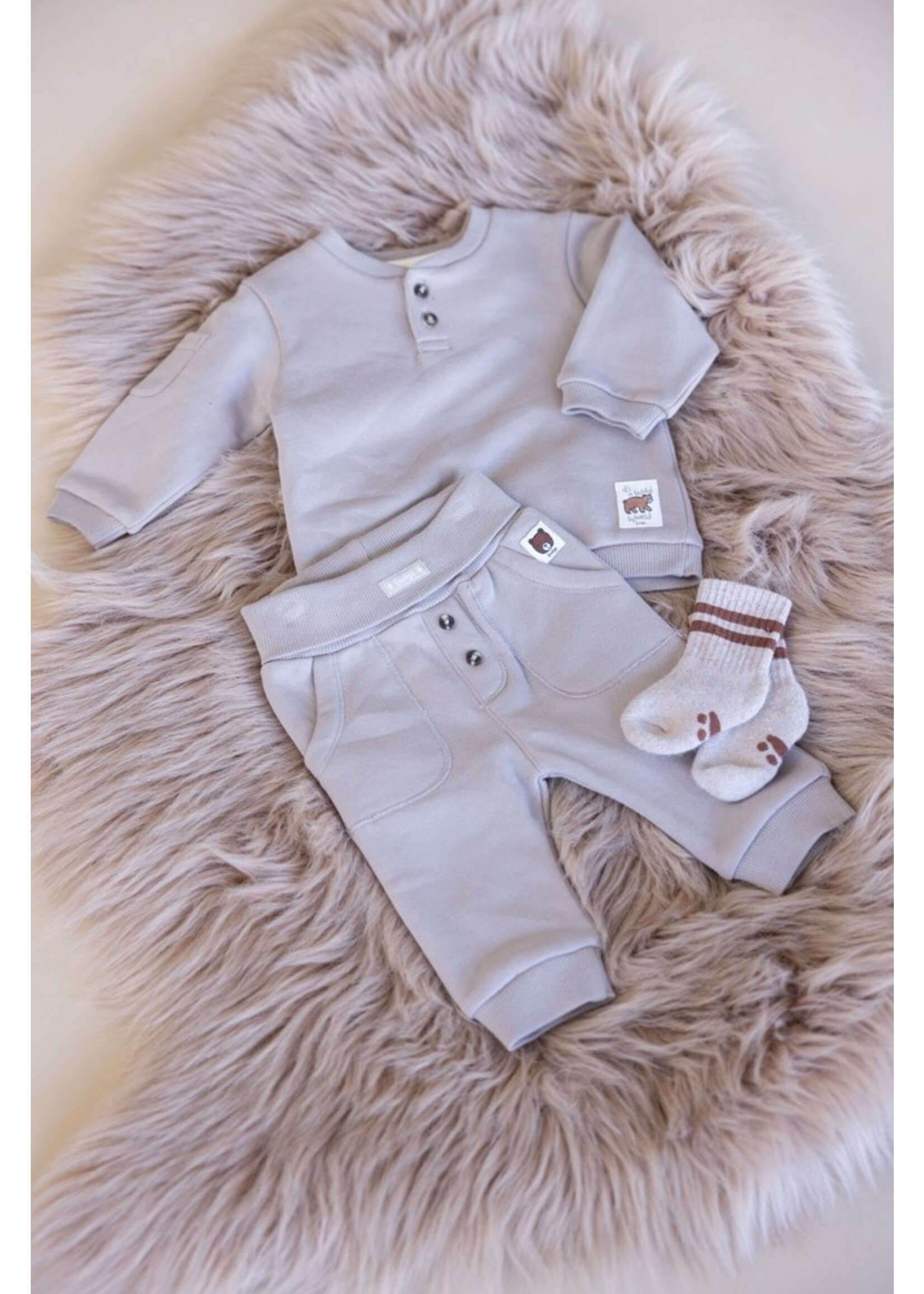 Feetje Sweater - Wild World Grijs