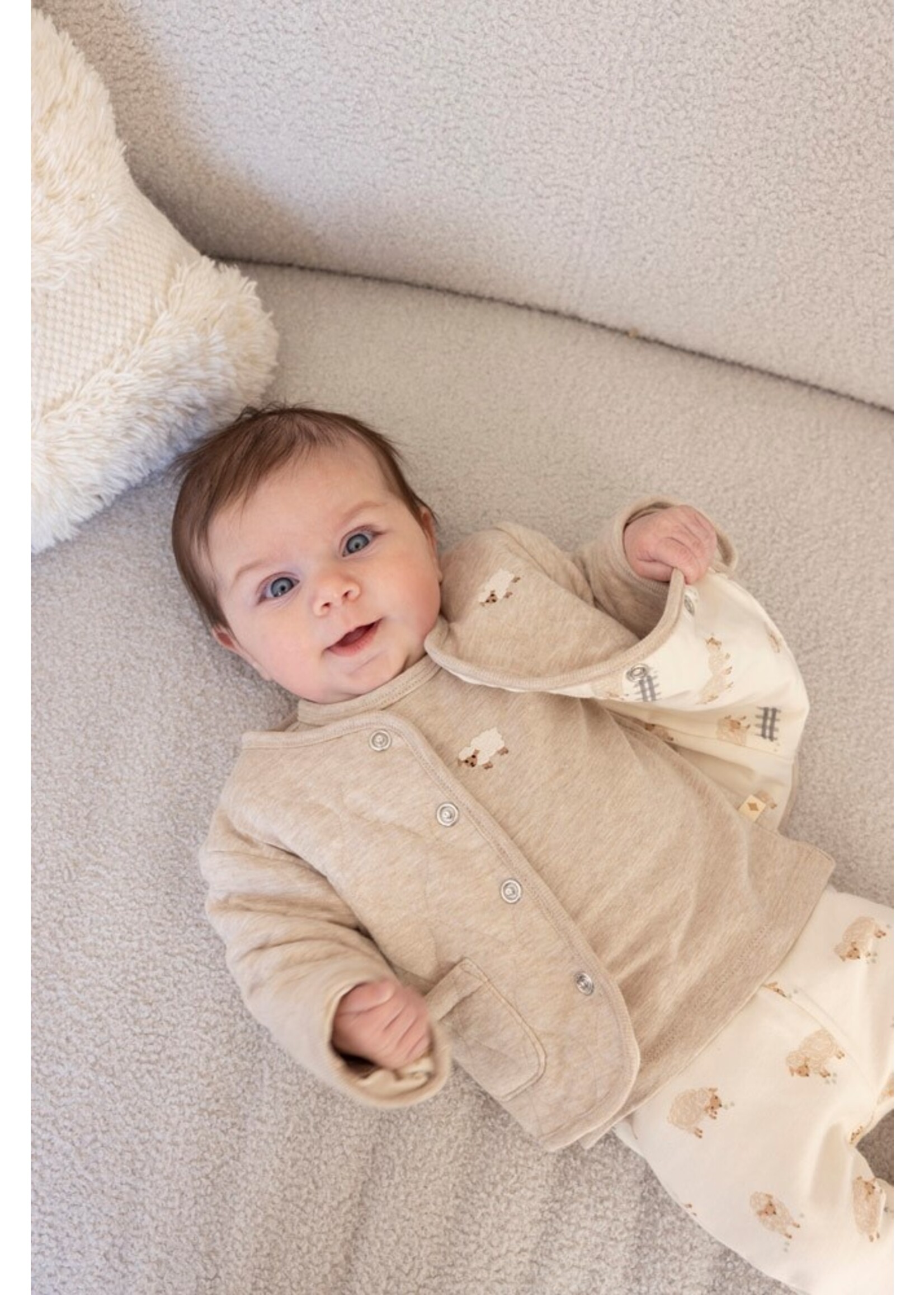 Feetje Longsleeve - Sleepy Sheepy Taupe Melange