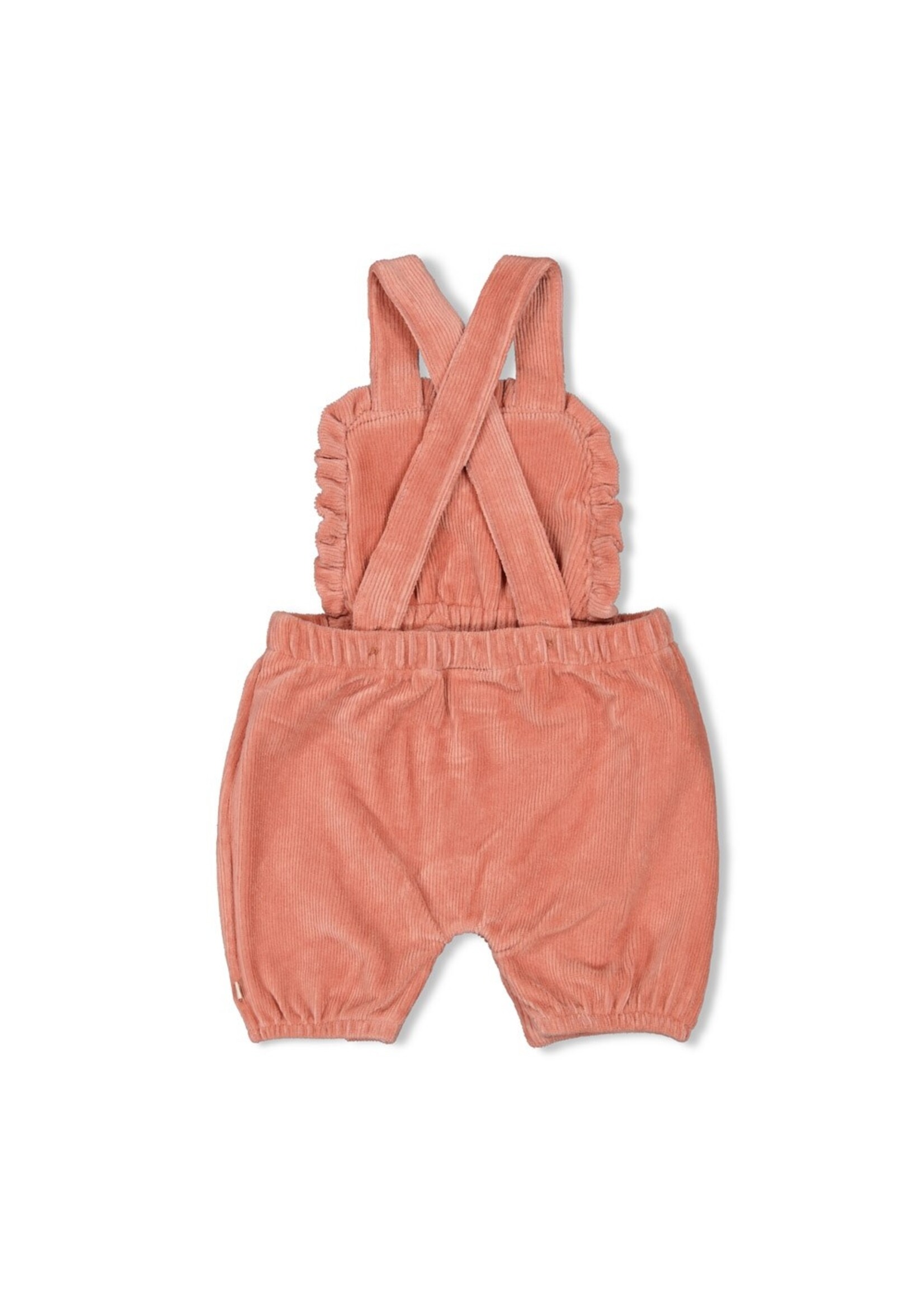 Feetje Tuinbroek Kort Velours Rib - Woodland Bloom Mauve