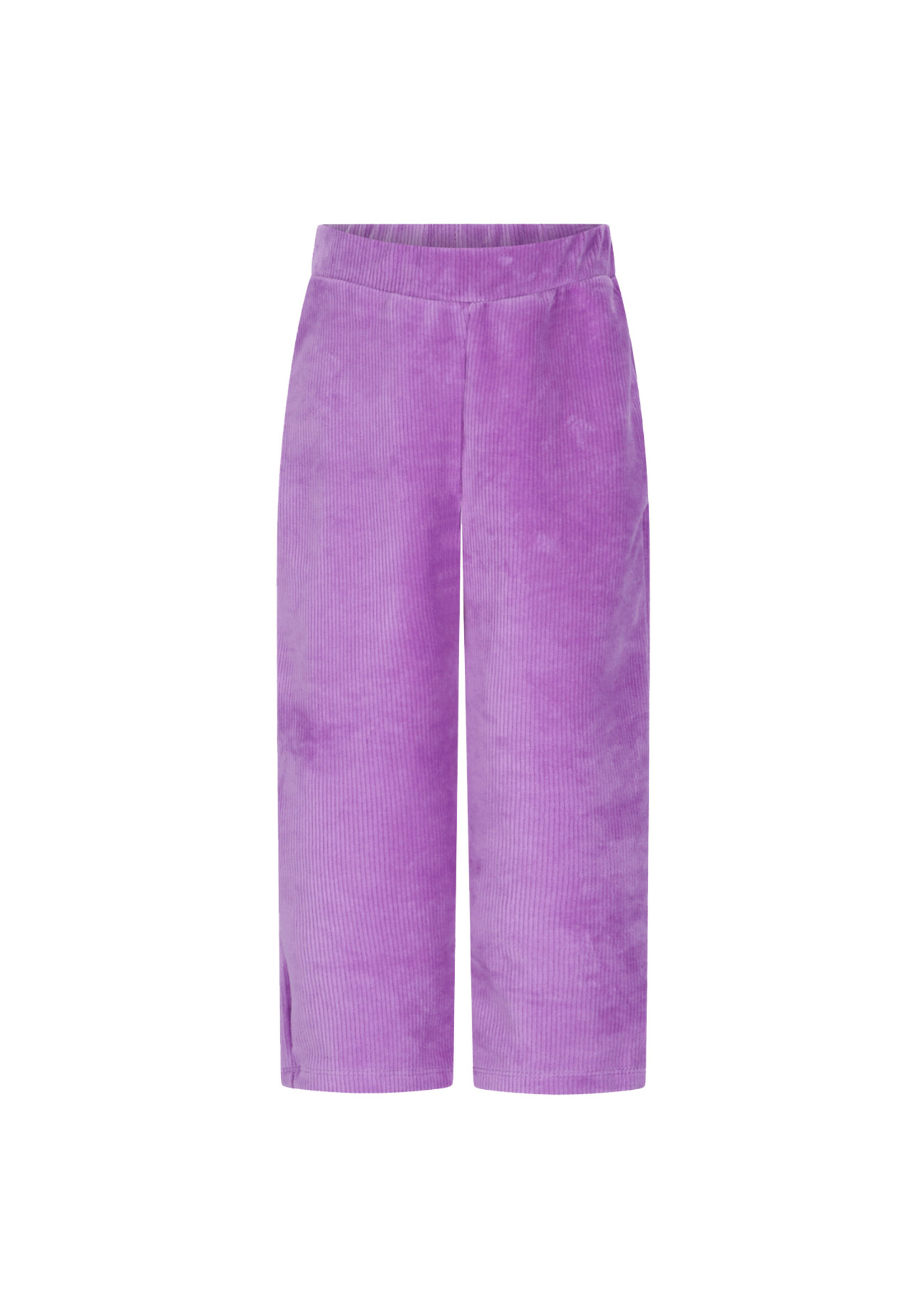 The New Chapter Atlas The New Chapter Pants - Bellflower