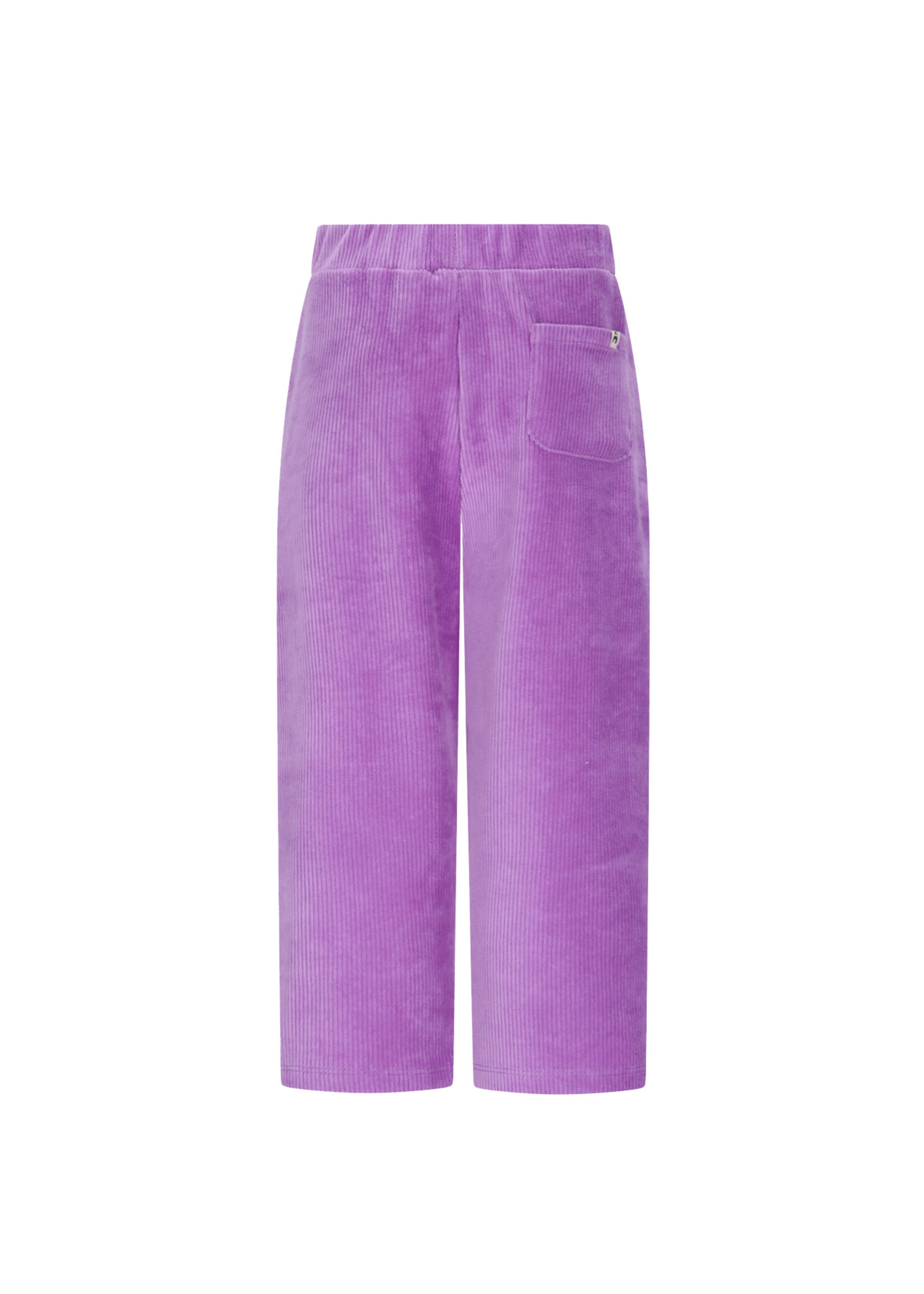 The New Chapter Atlas The New Chapter Pants - Bellflower