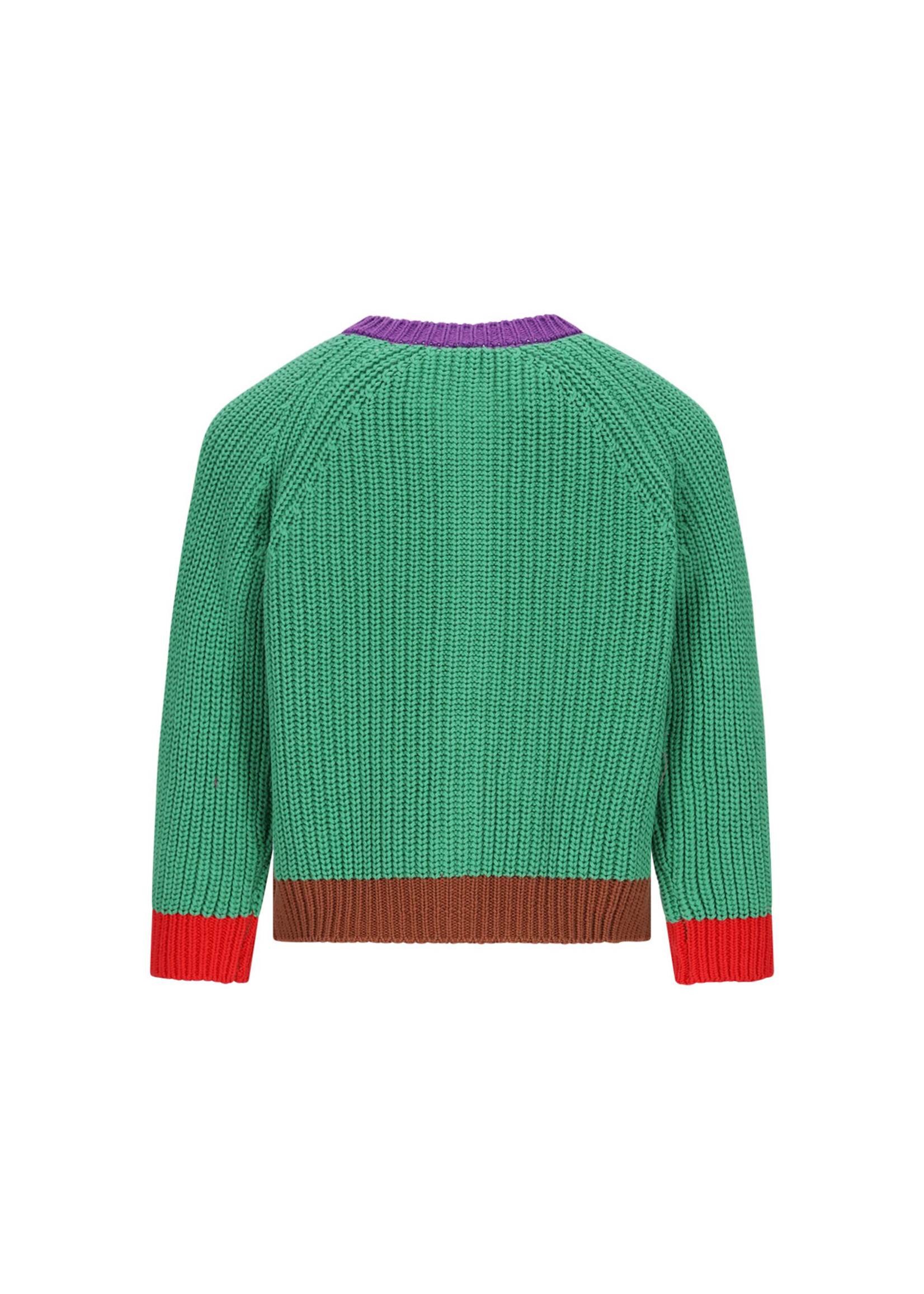 The New Chapter Miles Knitted Cardigan - The New Chapter Medium Green
