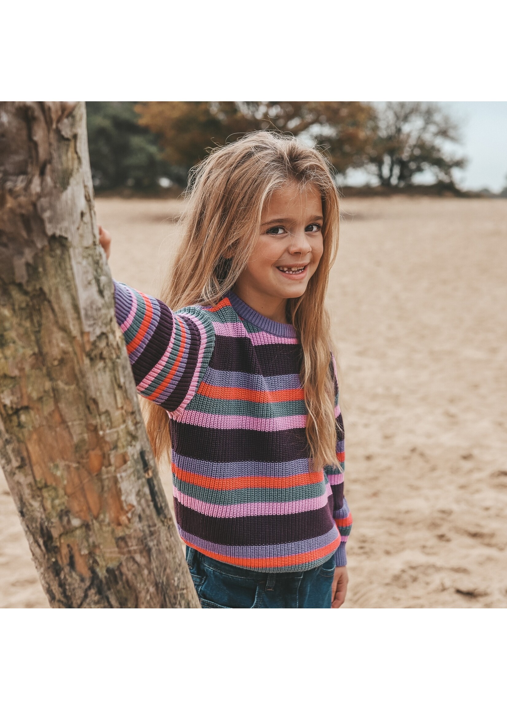 Your Wishes Stripe Knit - Chunky Sweater Daybreak