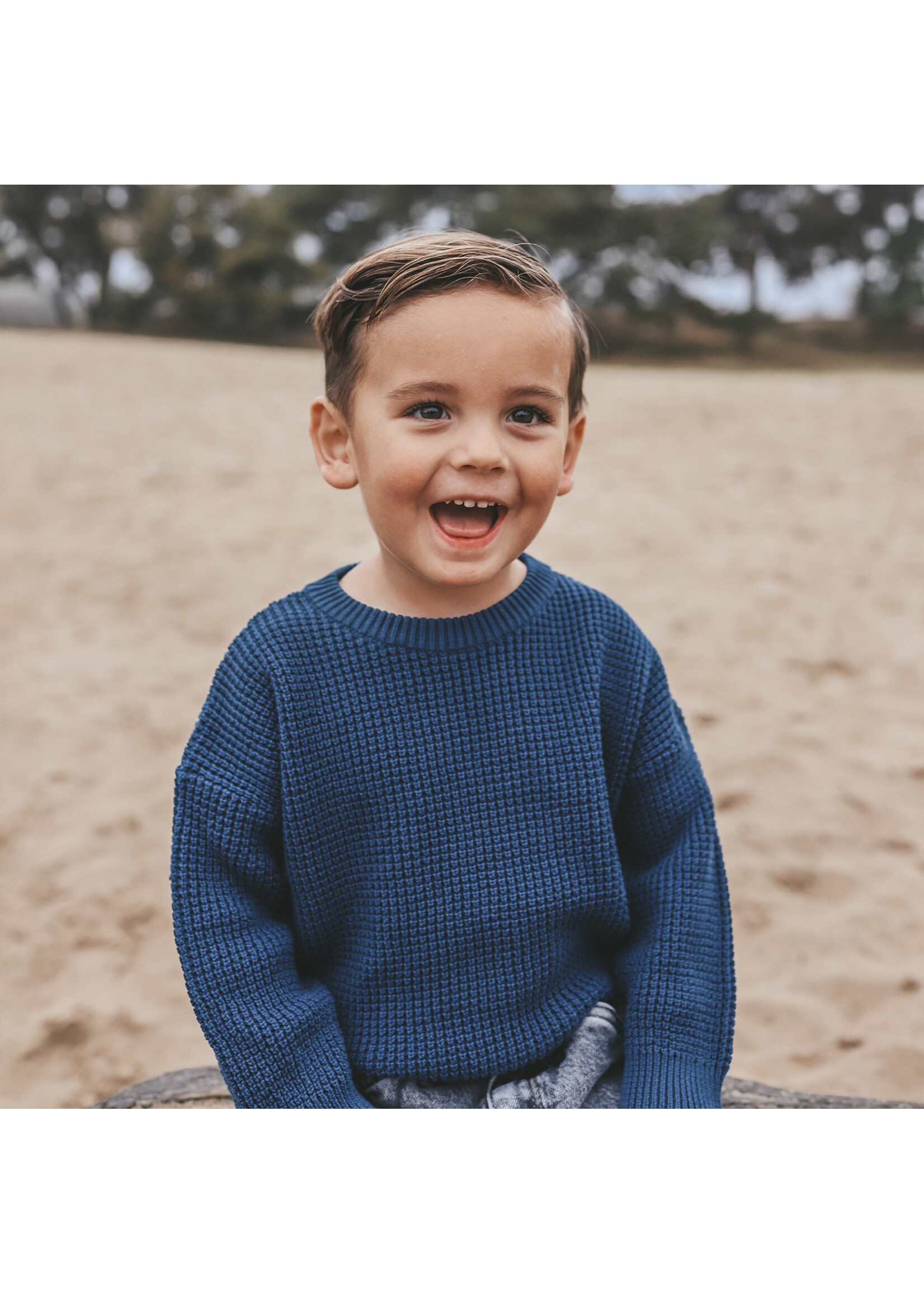 Your Wishes Knit - Chunky Sweater Blue Wing Tale
