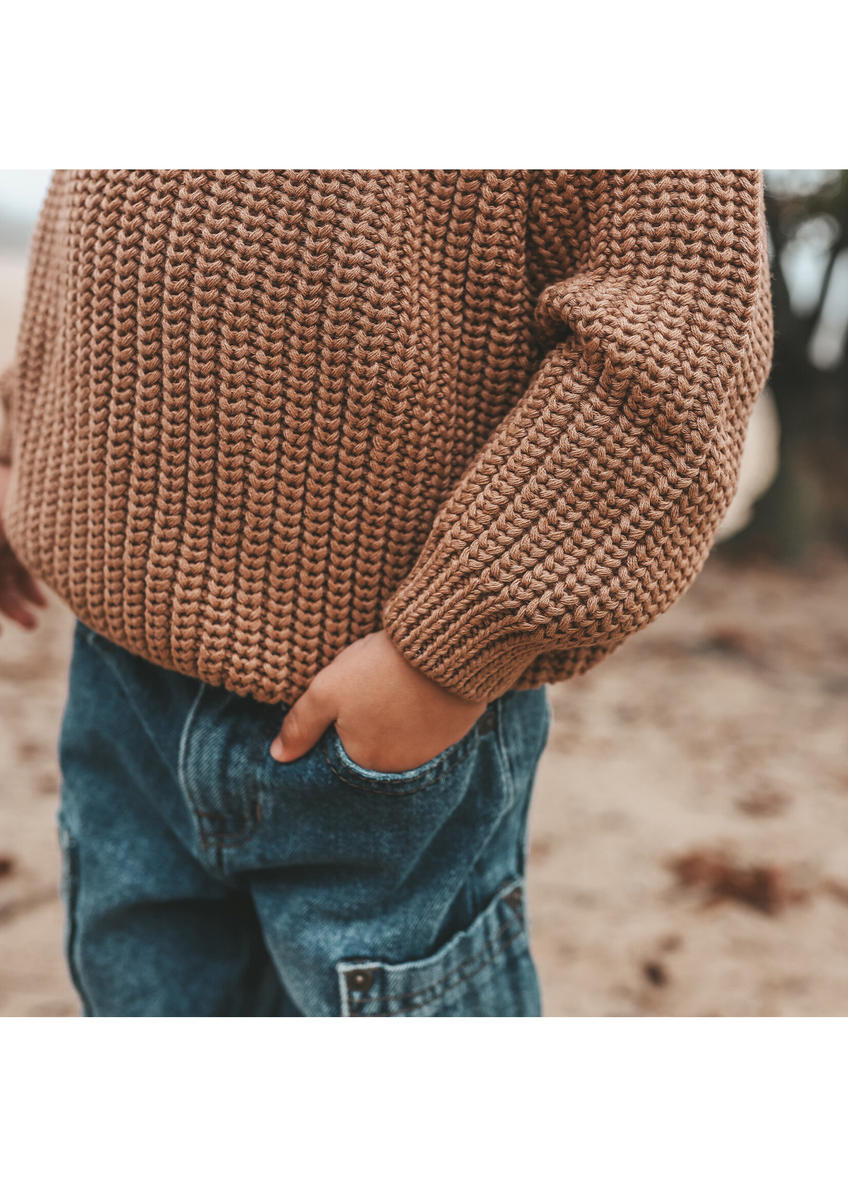 Your Wishes Knit - Chunky Sweater Chipmunk