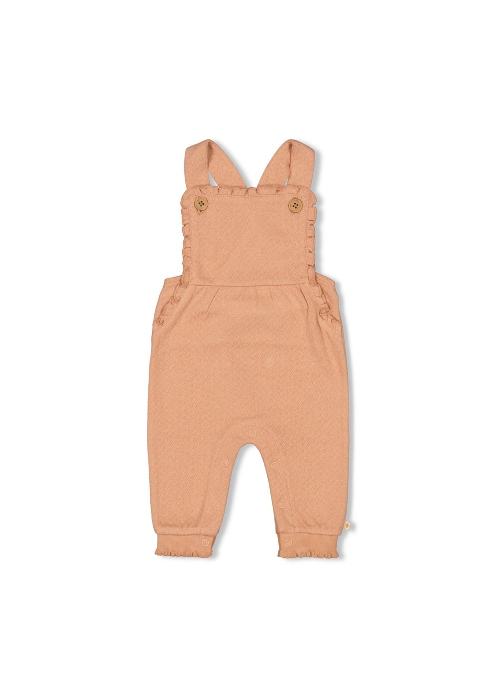 Feetje Tuinbroek - Dancing In The Moonlight