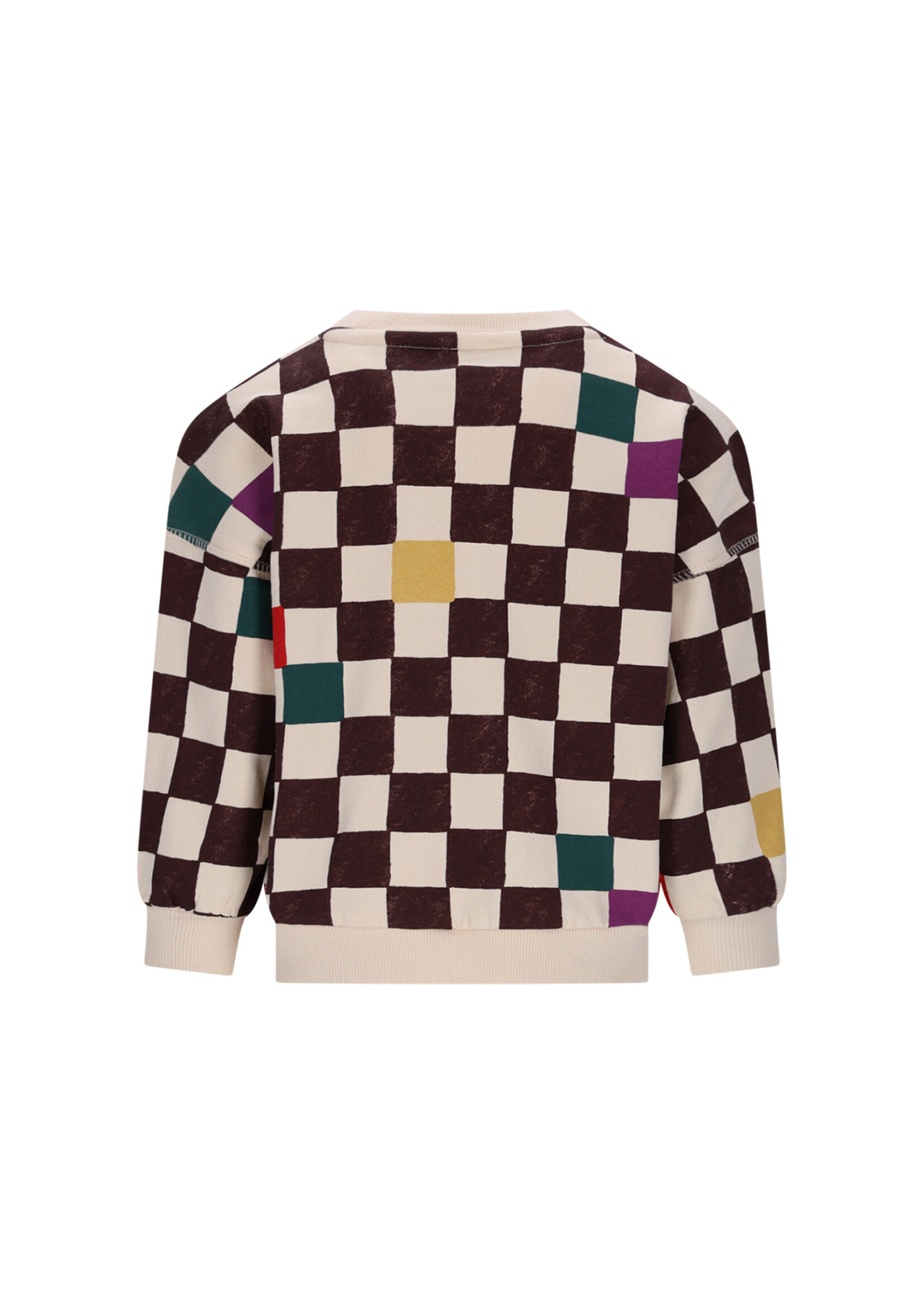 The New Chapter Bobbie The New Chapter sweater Checker