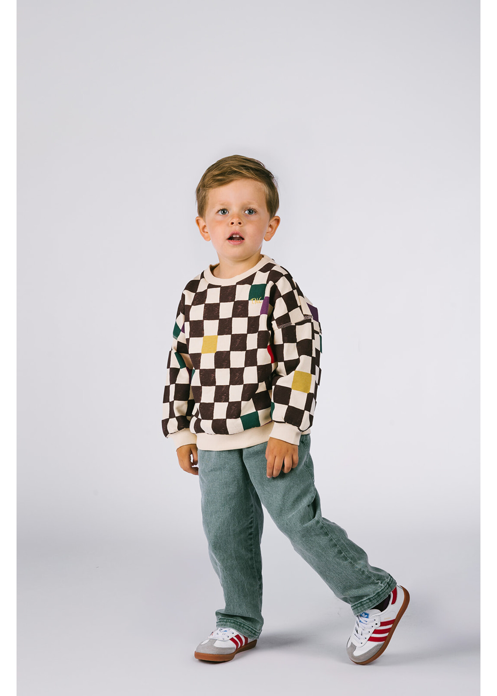 The New Chapter Bobbie The New Chapter sweater Checker